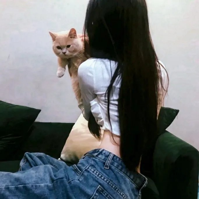 系列大片 在线观看
